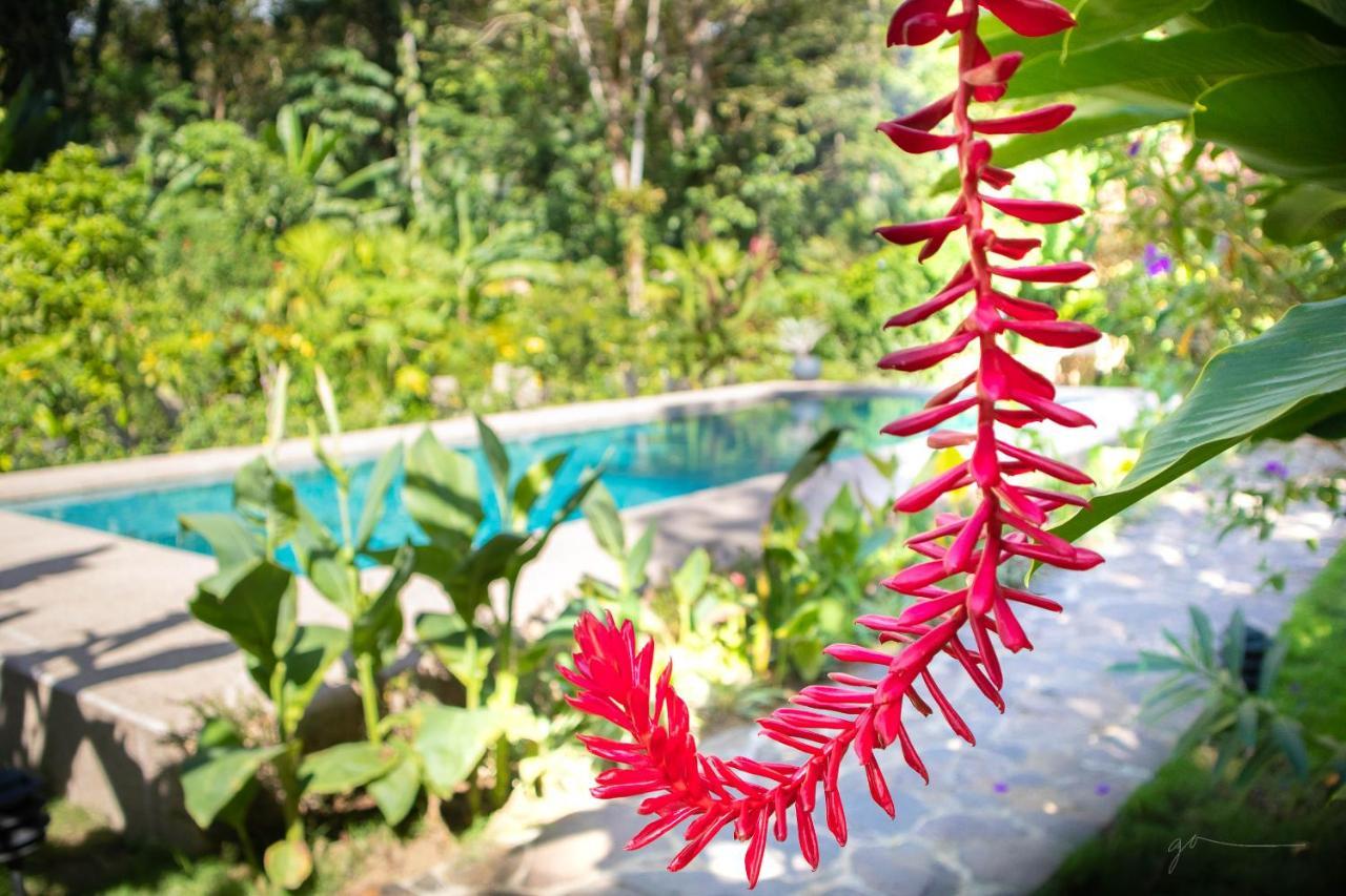 Hotel Casa Merlin Puerto Viejo de Talamanca المظهر الخارجي الصورة