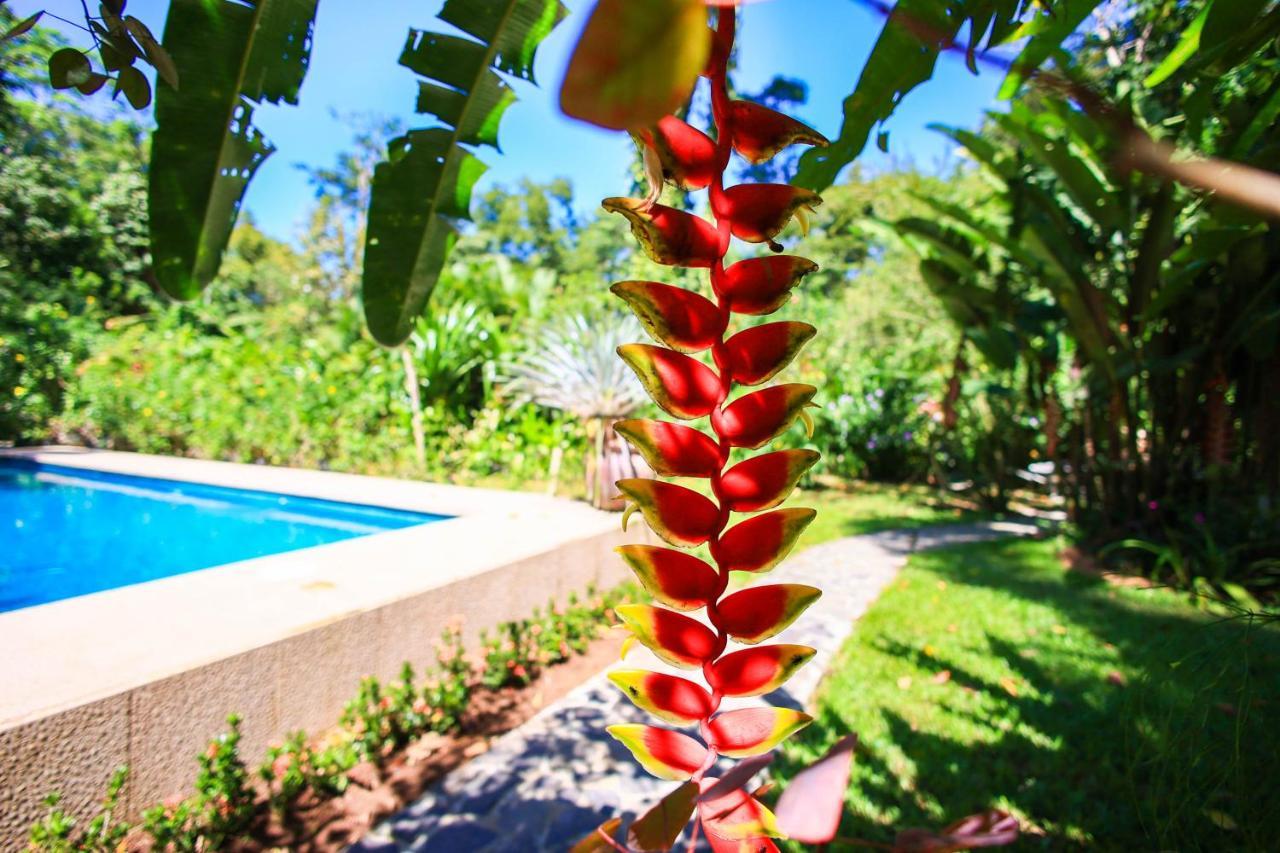 Hotel Casa Merlin Puerto Viejo de Talamanca المظهر الخارجي الصورة