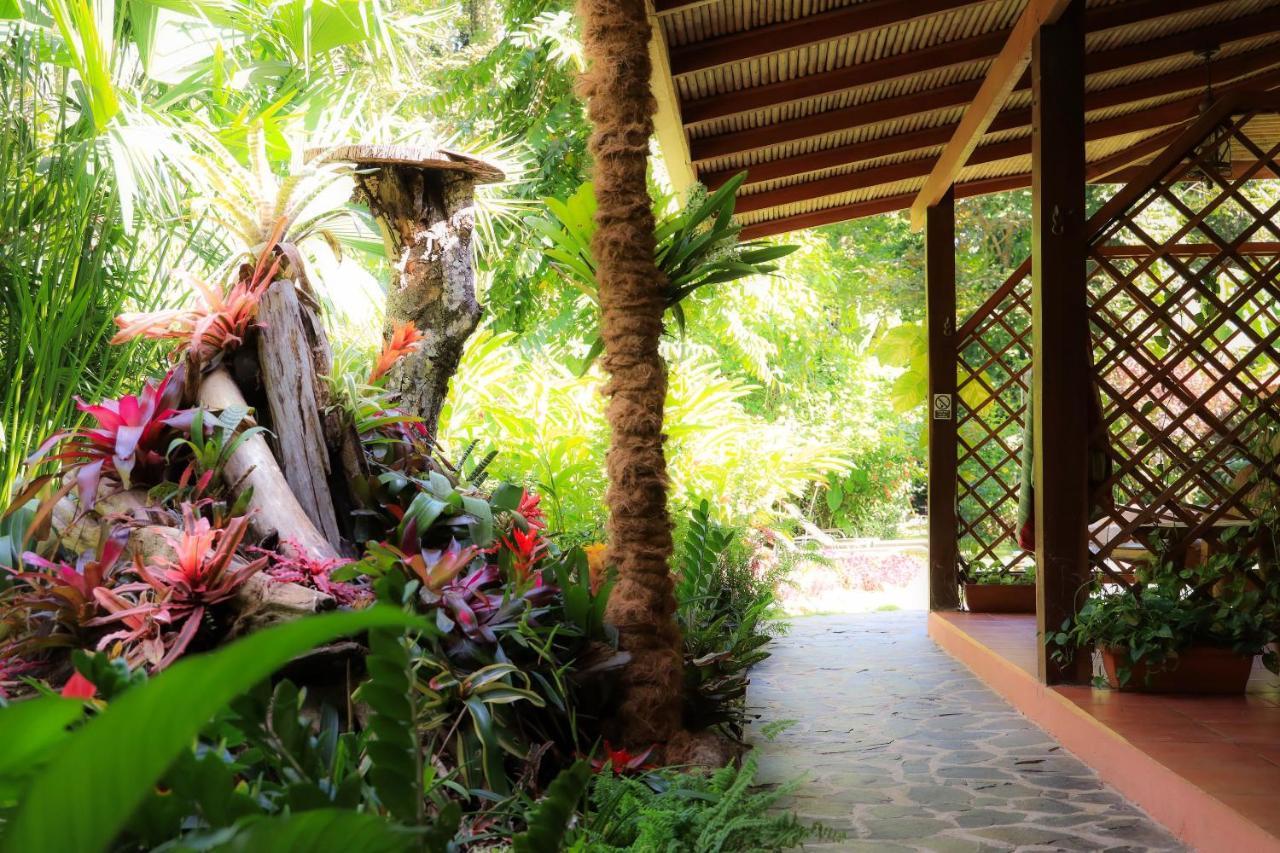 Hotel Casa Merlin Puerto Viejo de Talamanca المظهر الخارجي الصورة