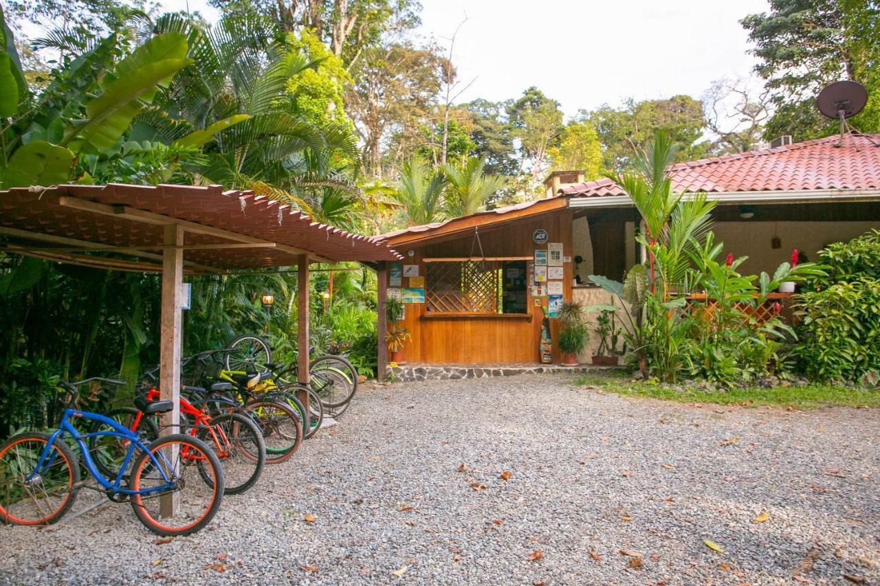 Hotel Casa Merlin Puerto Viejo de Talamanca المظهر الخارجي الصورة